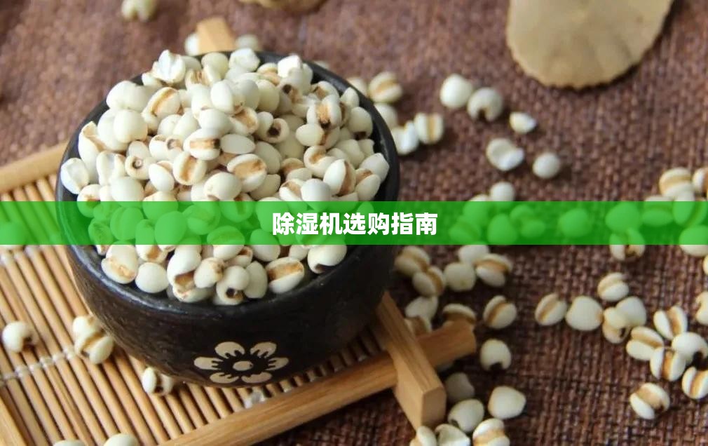 除湿机选购指南/家用除湿机选购指南 除湿机选购指南/家用除湿机选购指南
