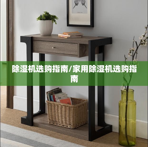 除湿机选购指南/家用除湿机选购指南 除湿机选购指南/家用除湿机选购指南