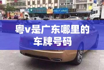 【粤v是广东哪里的车牌号码,粤v是哪里的车牌号码 在哪个区】
