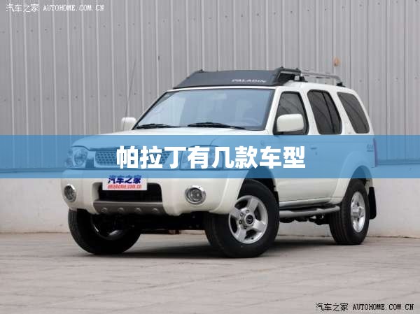 帕拉丁有几款车型/帕拉丁车型介绍