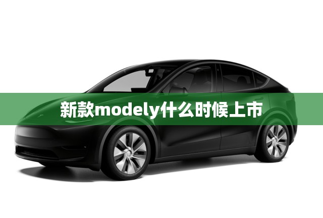 新款modely什么时候上市(modely新款2024) 新款modely什么时候上市(modely新款2024)
