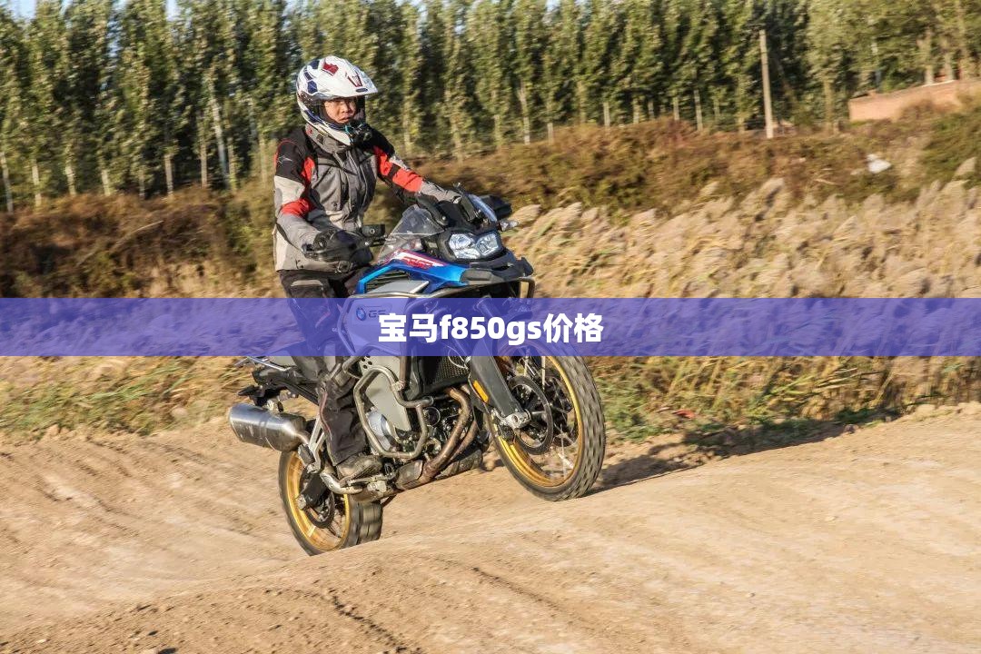 宝马f850gs费用/宝马f850gs多少钱