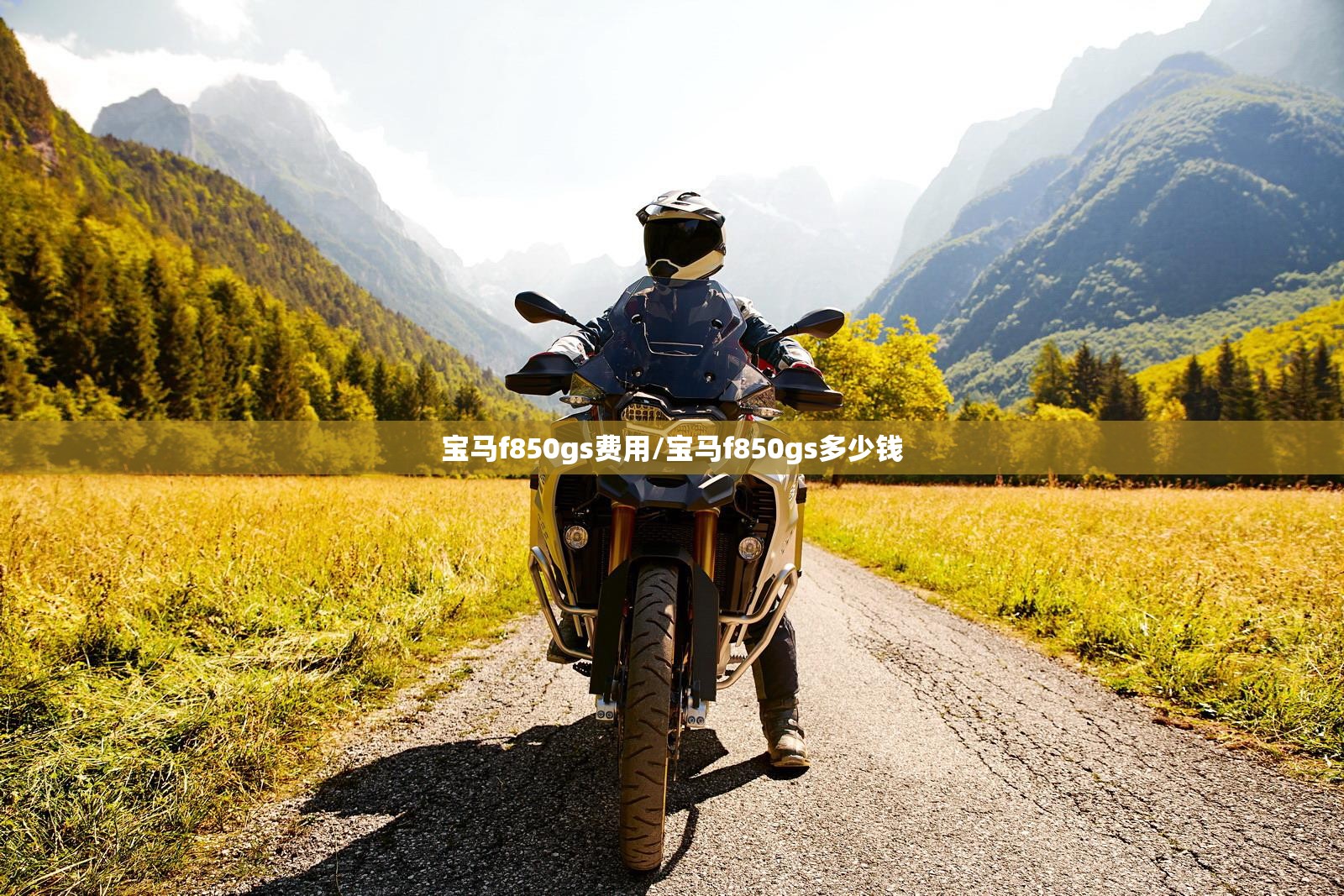 宝马f850gs费用/宝马f850gs多少钱