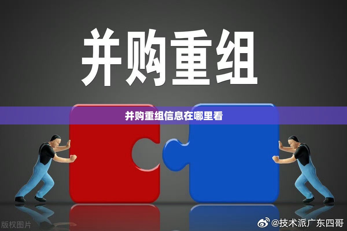 【并购重组信息在哪里看,并购重组进展追踪】