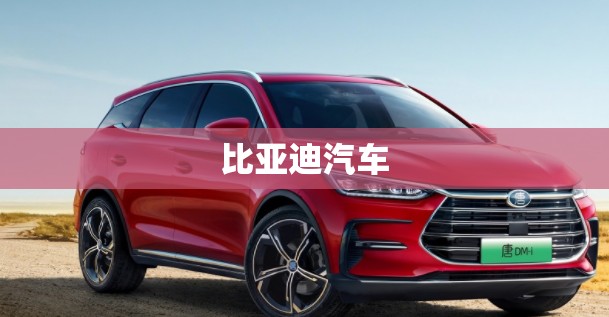 【比亚迪汽车,比亚迪汽车销量】 【比亚迪汽车,比亚迪汽车销量】