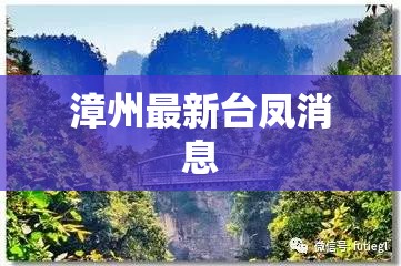 漳州最新台凤消息(漳州台风最新强风情况) 漳州最新台凤消息(漳州台风最新强风情况)