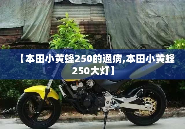 【本田小黄蜂250的通病,本田小黄蜂250大灯】 【本田小黄蜂250的通病,本田小黄蜂250大灯】