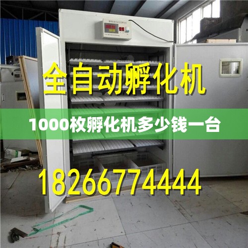 1000枚孵化机多少钱一台(孵化机小型多少钱一台)