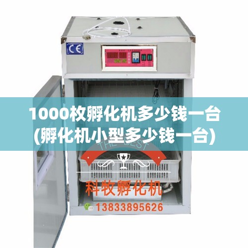 1000枚孵化机多少钱一台(孵化机小型多少钱一台)
