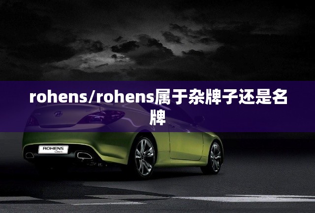 rohens/rohens属于杂牌子还是名牌