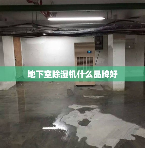 地下室除湿机什么品牌好/地下室专用除湿机品牌排名前十 地下室除湿机什么品牌好/地下室专用除湿机品牌排名前十
