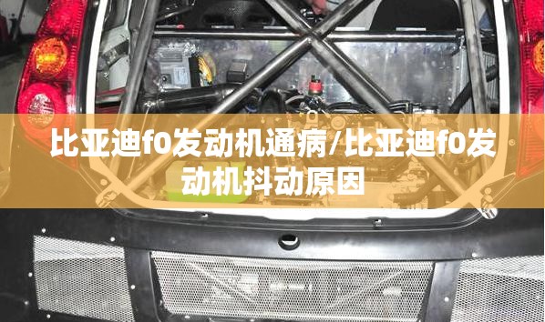 比亚迪f0发动机通病/比亚迪f0发动机抖动原因