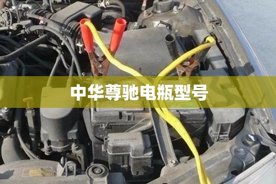 中华尊驰电瓶型号(中华v6电瓶型号图片)