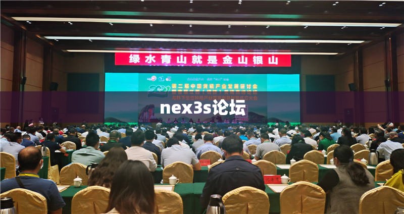 【nex3s论坛,nex3s评测】