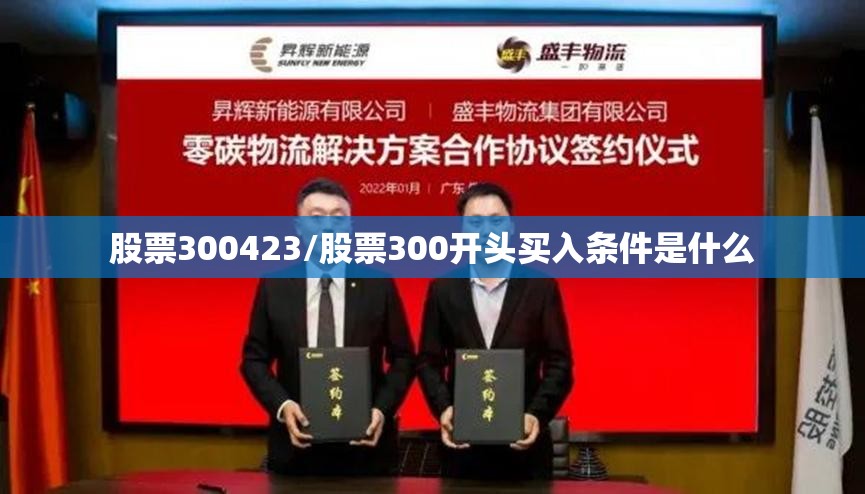 股票300423/股票300开头买入条件是什么