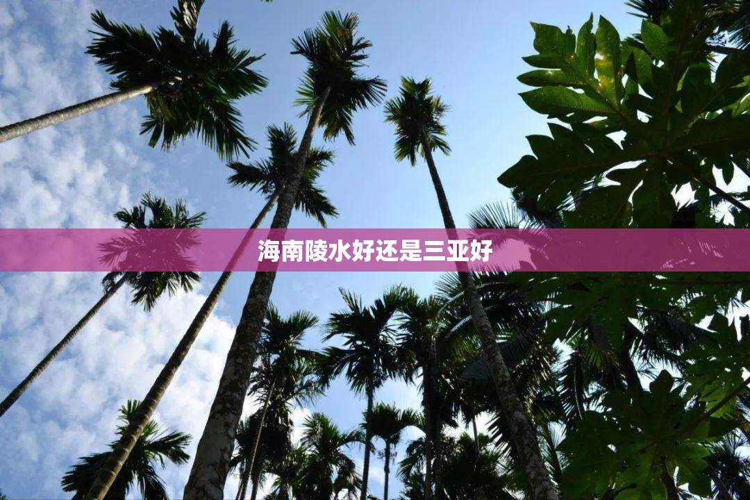 海南陵水好还是三亚好(海南陵水好还是三亚好?带你重新认识!) 海南陵水好还是三亚好(海南陵水好还是三亚好?带你重新认识!)