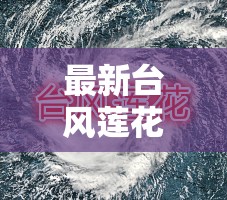 最新台风莲花(台风莲花为什么被除名)