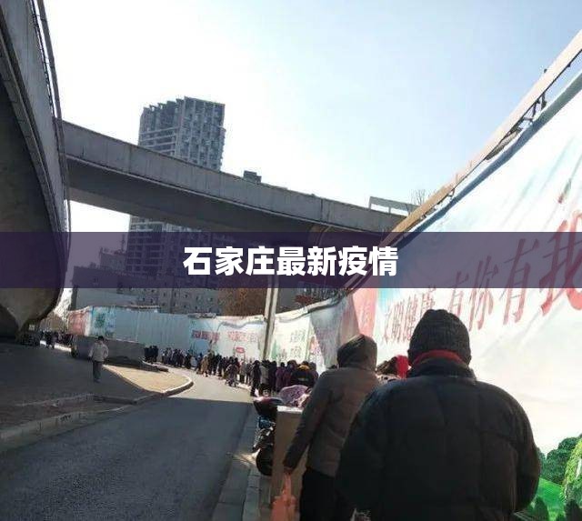 石家庄最新疫情/石家庄最新疫情消息今天