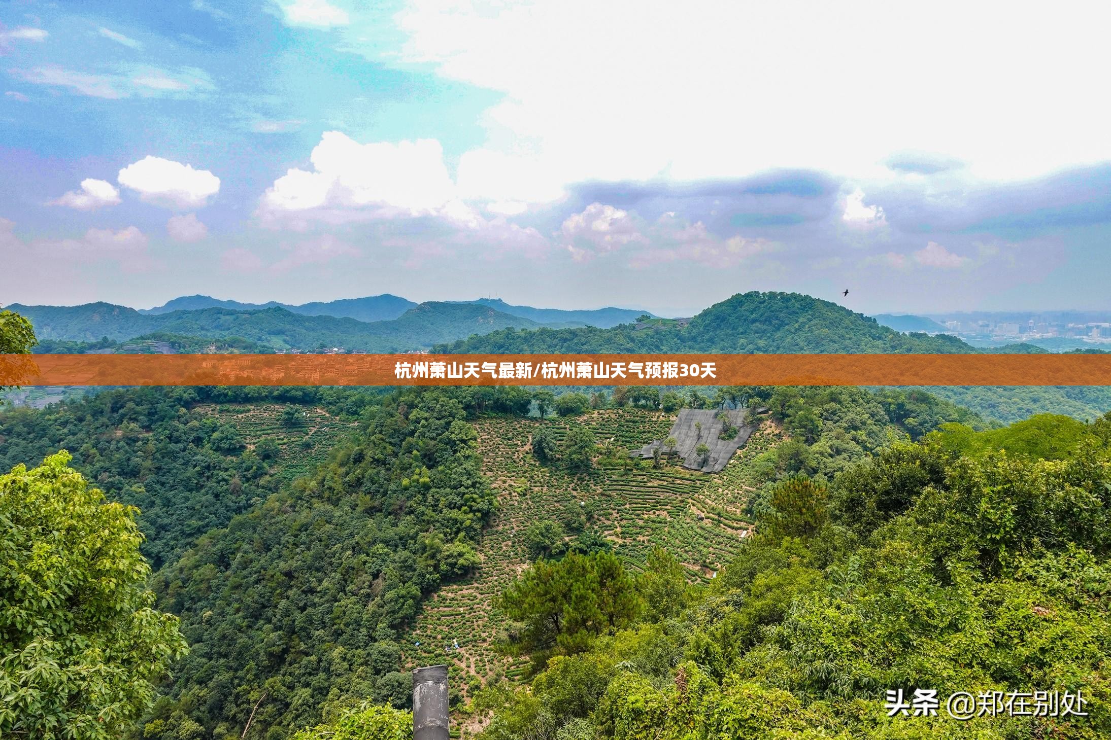 杭州萧山天气最新/杭州萧山天气预报30天 杭州萧山天气最新/杭州萧山天气预报30天
