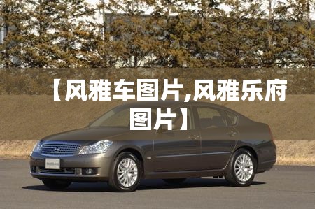 【风雅车图片,风雅乐府图片】 【风雅车图片,风雅乐府图片】