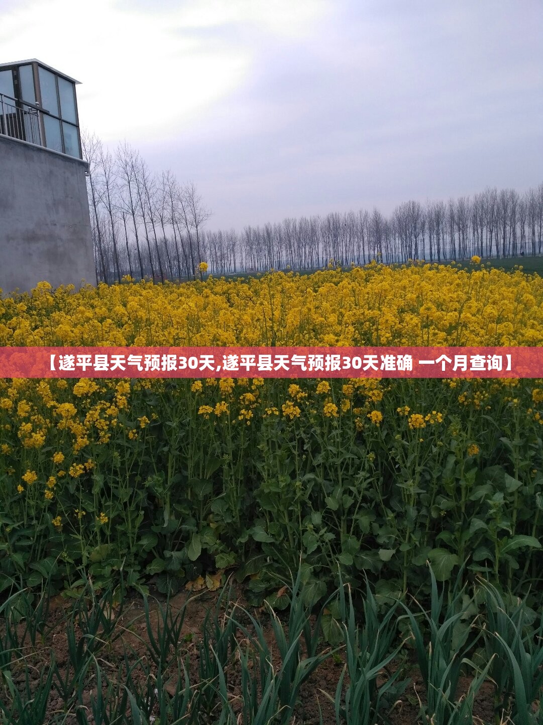 【遂平县天气预报30天,遂平县天气预报30天准确 一个月查询】