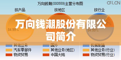 万向钱潮股份有限公司简介(万向钱潮股份公司产品介绍) 万向钱潮股份有限公司简介(万向钱潮股份公司产品介绍)