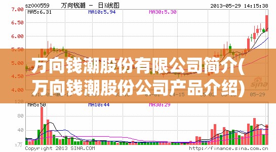 万向钱潮股份有限公司简介(万向钱潮股份公司产品介绍) 万向钱潮股份有限公司简介(万向钱潮股份公司产品介绍)