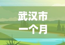 武汉市一个月的天气预报30天(武汉市半个月的天气预报15天查询)