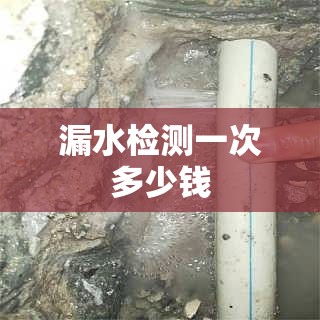 漏水检测一次多少钱/家里漏水检测一次多少钱