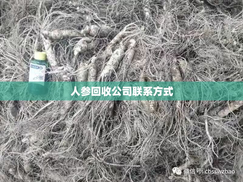 保暖内衣厂家批发5元/保暖内衣批发去哪里进货 保暖内衣厂家批发5元/保暖内衣批发去哪里进货