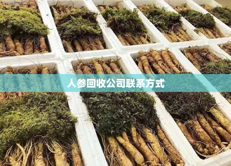 人参回收公司联系方式(人参回收费用多少一颗) 人参回收公司联系方式(人参回收费用多少一颗)