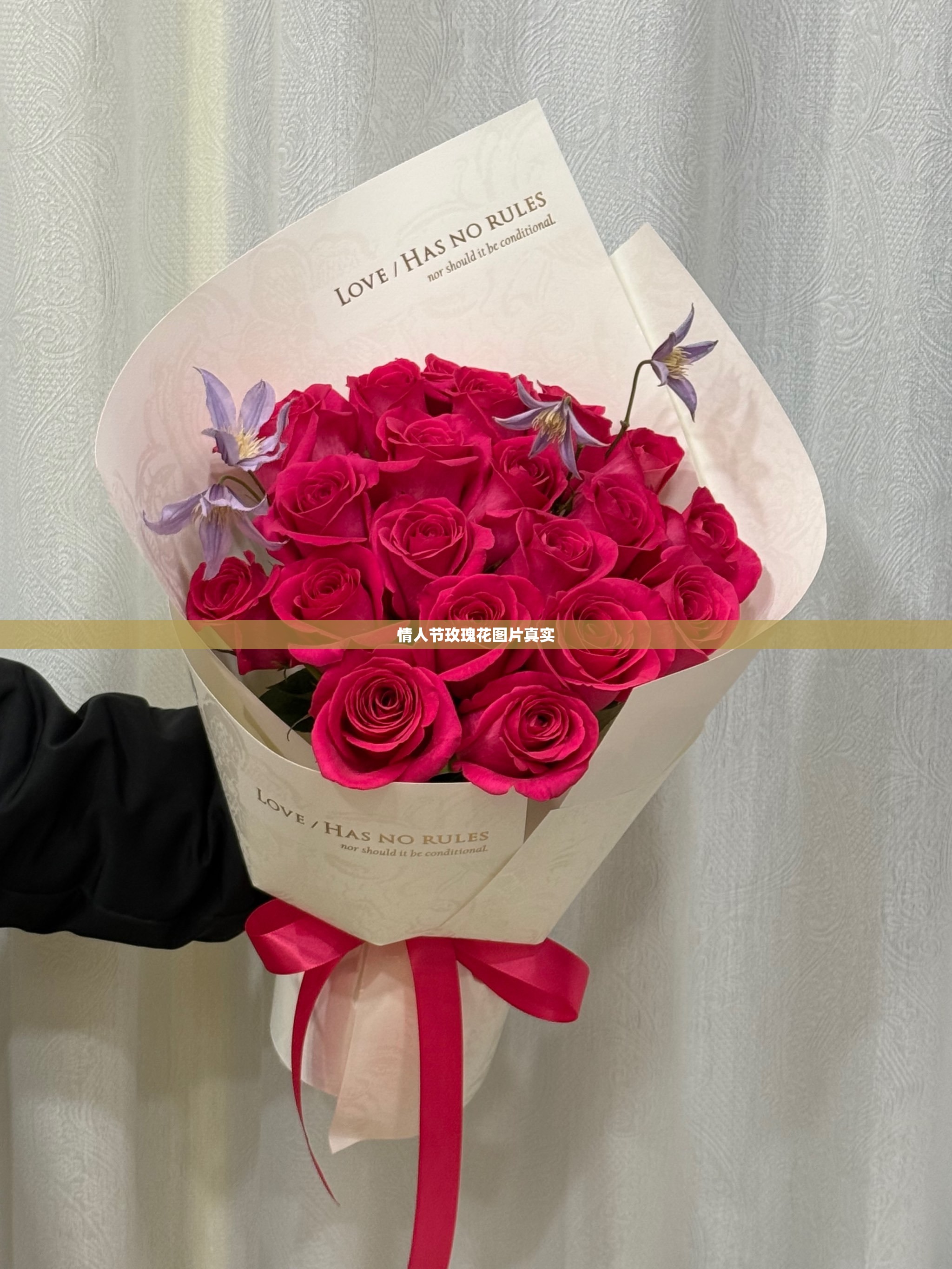 【情人节玫瑰花图片真实,情人节玫瑰花图片真实 礼盒】 【情人节玫瑰花图片真实,情人节玫瑰花图片真实 礼盒】