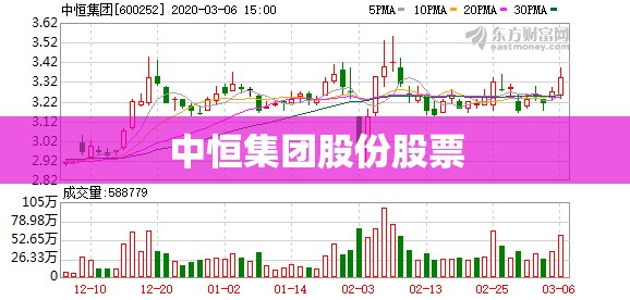 中恒集团股份股票(中恒集团股份股票历史比较高价) 中恒集团股份股票(中恒集团股份股票历史比较高价)