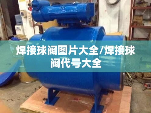 焊接球阀图片大全/焊接球阀代号大全