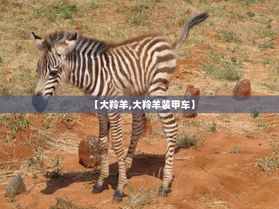 【大羚羊,大羚羊装甲车】 【大羚羊,大羚羊装甲车】