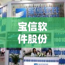 【宝信软件股份有限公司,宝信软件股份有限公司简介】 【宝信软件股份有限公司,宝信软件股份有限公司简介】