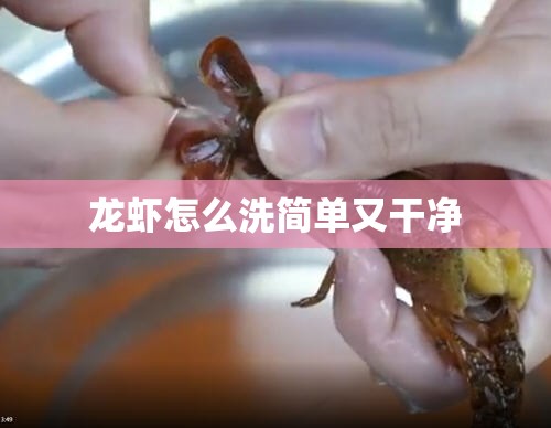 【龙虾怎么洗简单又干净,龙虾怎么洗简单又干净妙招姐】