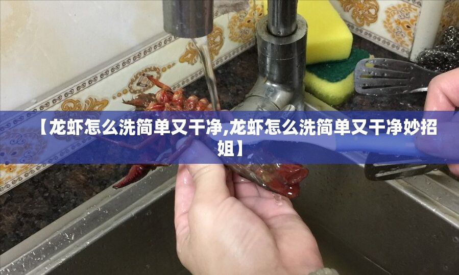 【龙虾怎么洗简单又干净,龙虾怎么洗简单又干净妙招姐】