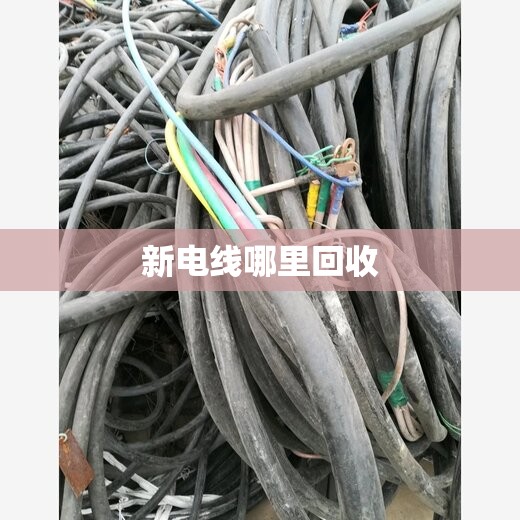 【汽油泵多少钱,迈腾车油泵汽油泵多少钱】