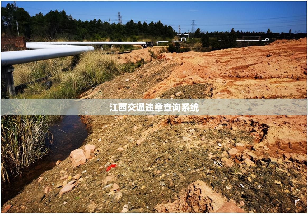 【江西交通违章查询系统,江西交通违章查询系统官方网站】