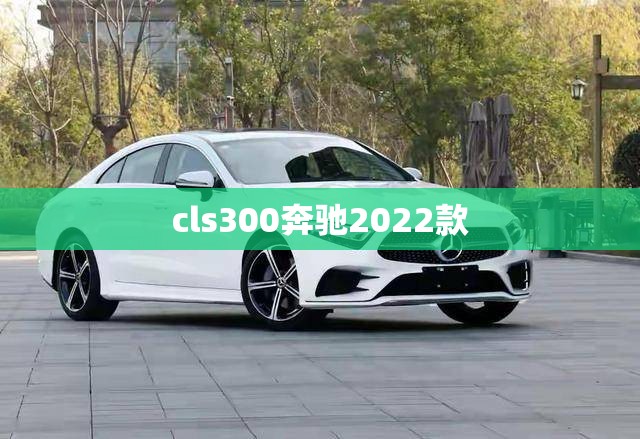 【cls300奔驰2022款,奔驰cls300 2022款火花塞型号】 【cls300奔驰2022款,奔驰cls300 2022款火花塞型号】