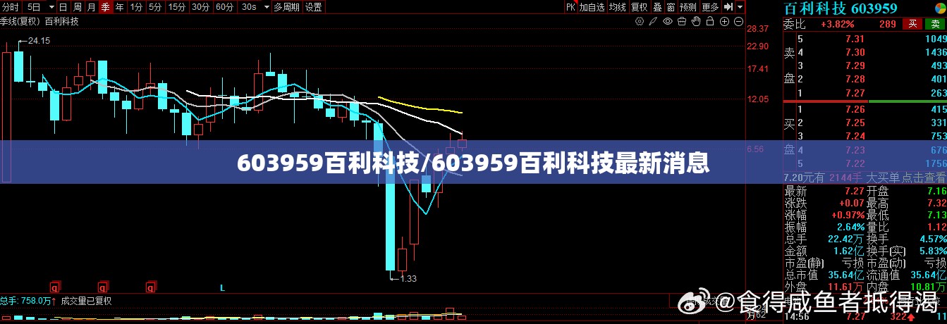 603959百利科技/603959百利科技最新消息 603959百利科技/603959百利科技最新消息
