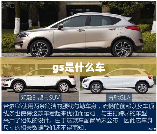 gs是什么车(gs是什么车标)