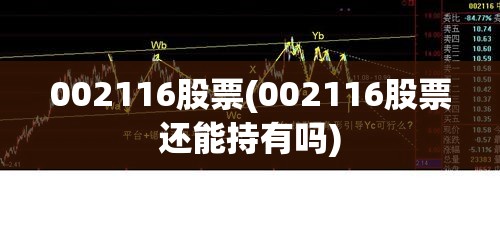 002116股票(002116股票还能持有吗) 002116股票(002116股票还能持有吗)