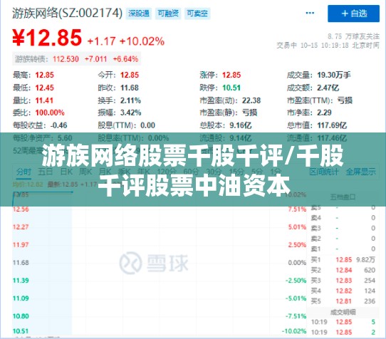 游族网络股票千股千评/千股千评股票中油资本
