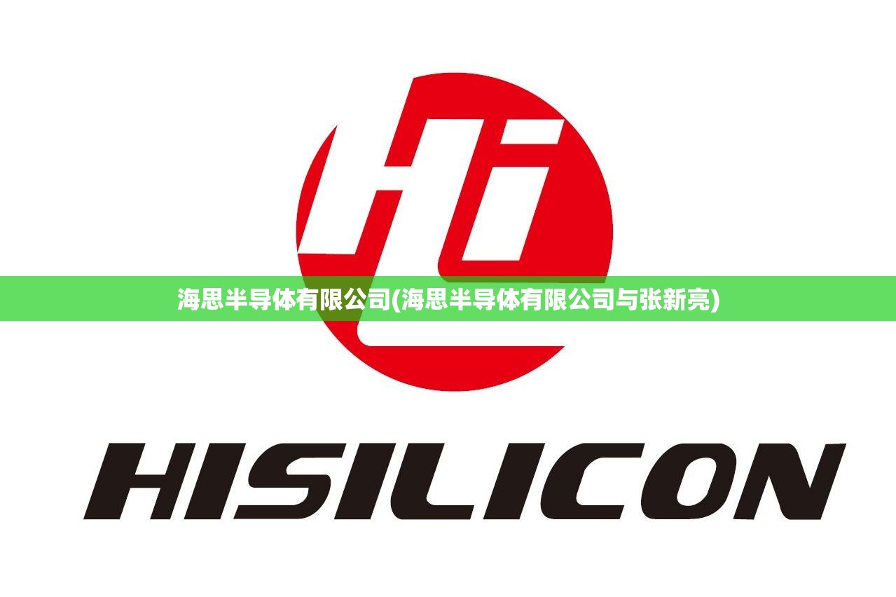 海思半导体有限公司(海思半导体有限公司与张新亮)