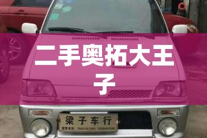 二手奥拓大王子(出售08年奥拓大王子) 二手奥拓大王子(出售08年奥拓大王子)