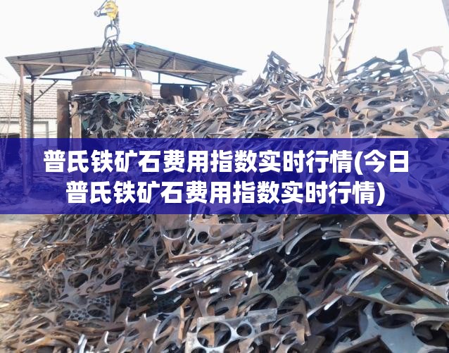 普氏铁矿石费用指数实时行情(今日普氏铁矿石费用指数实时行情)