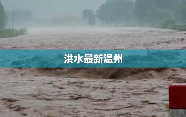 洪水最新温州(温州最近的洪水事件) 洪水最新温州(温州最近的洪水事件)