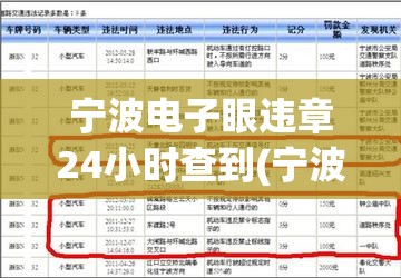 宁波电子眼违章24小时查到(宁波电子拍违章几天能查到) 宁波电子眼违章24小时查到(宁波电子拍违章几天能查到)